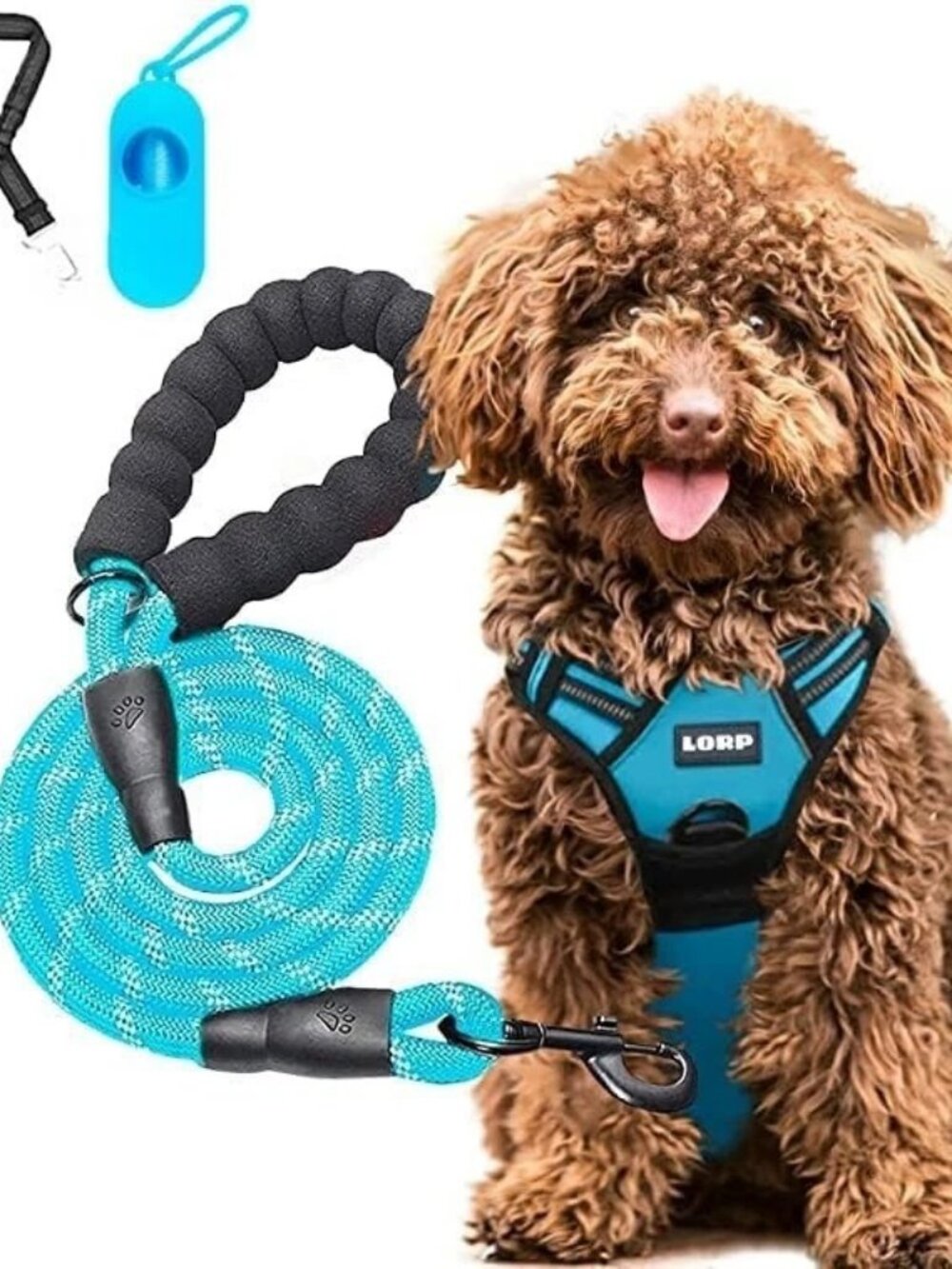 No-Pull Dog Harness & Leash Set, Blue, Small - with Seatbelt & Bag Dispenser